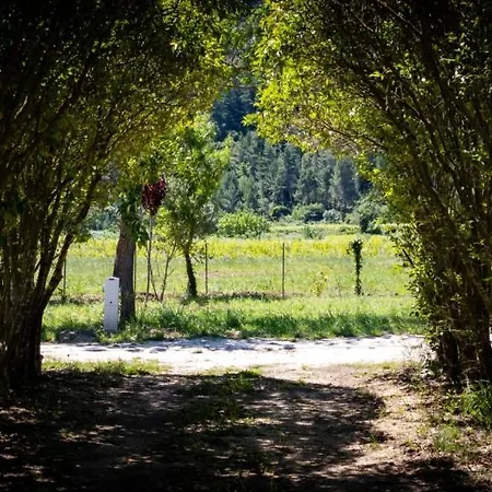 Campeggio Le Camping De Tautavel